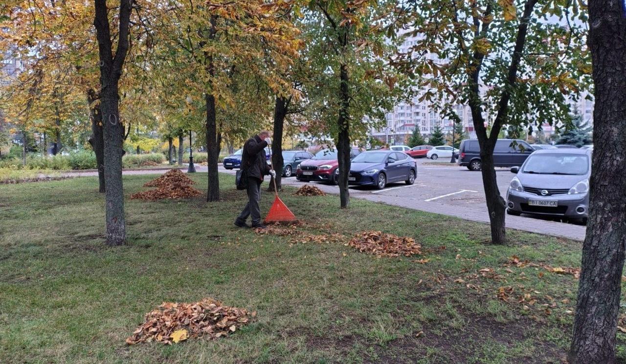 В Оболонському районі провели толоку: висадили клени і катальпи