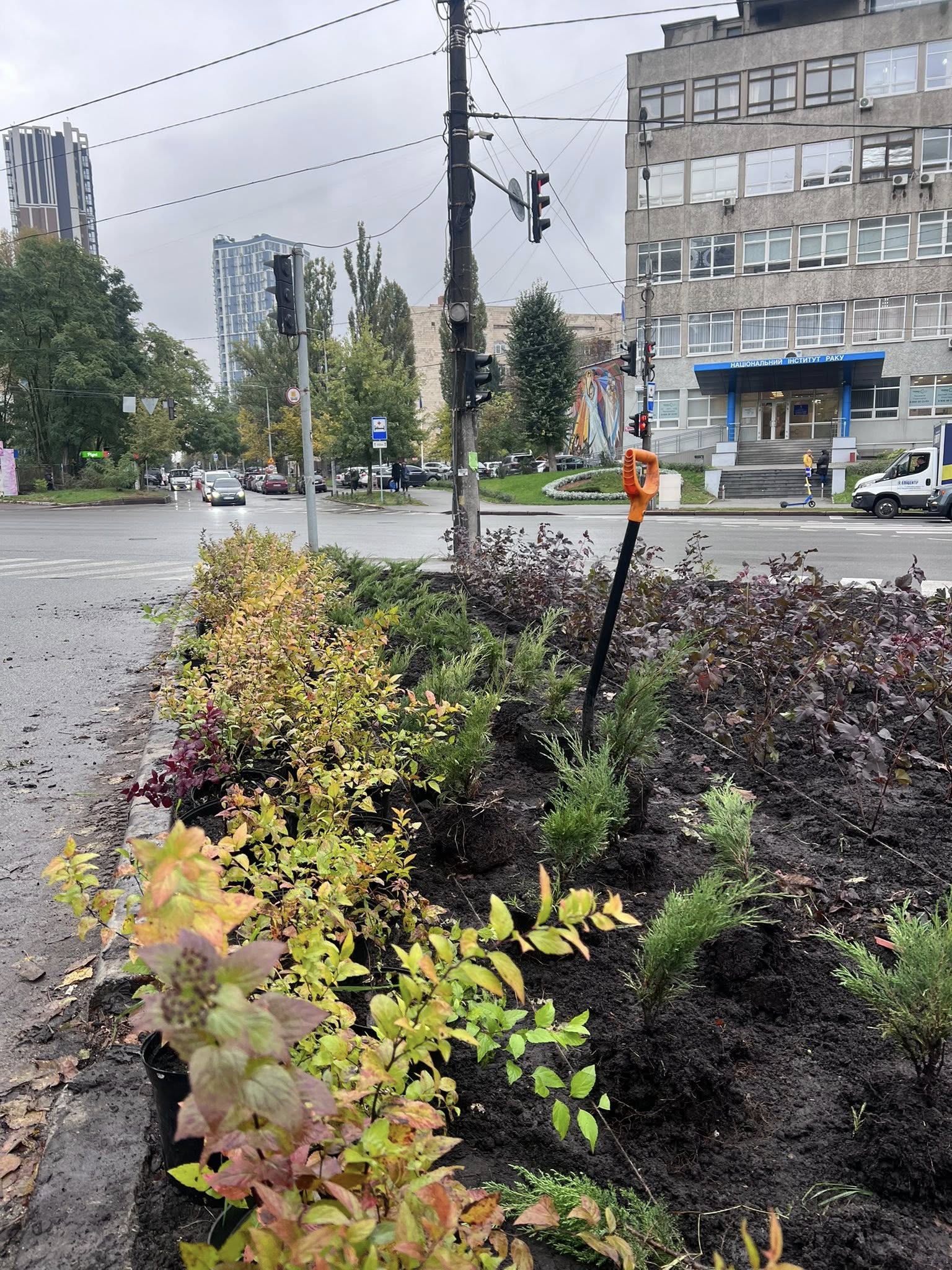 У Подільському та Голосіївському районах Києва висаджують дерева і декоративні злаки: фото