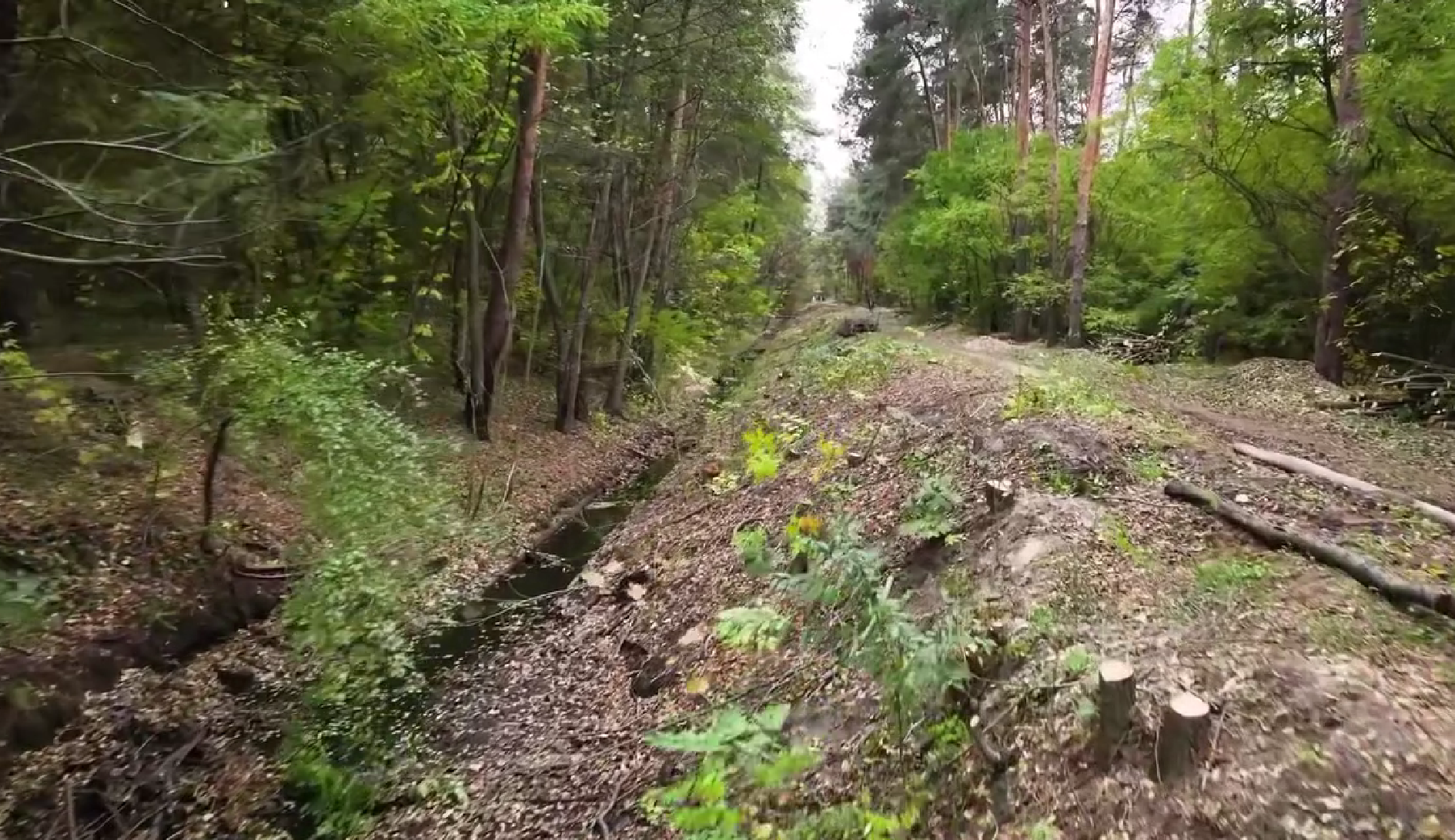 "Плесо" розпочало розчистку Північно-Дарницького меліоканалу "Плесо" розпочало розчистку Північно-Дарницького меліоканалу
