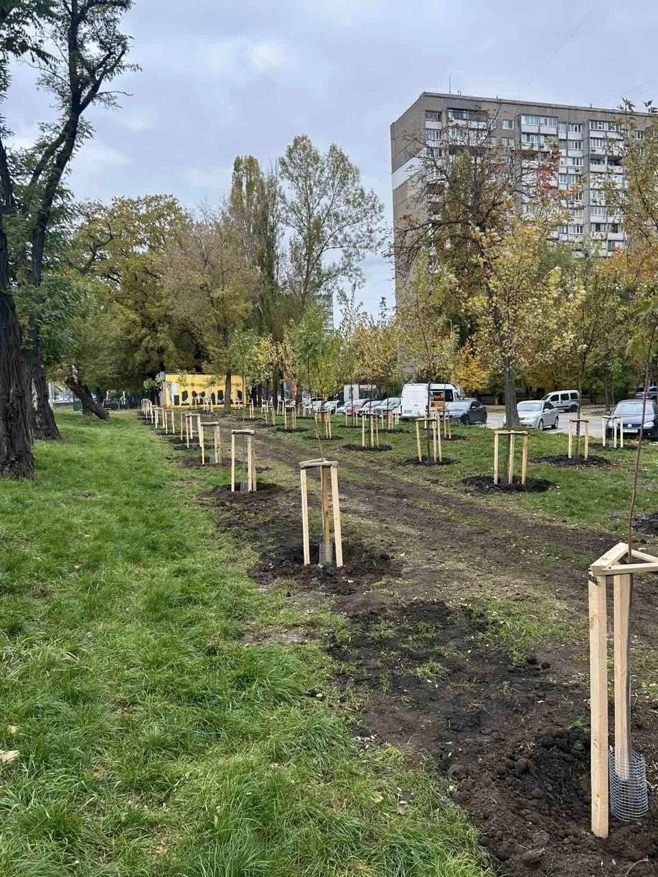 У Голосіївському районі висадили 170 нових дерев