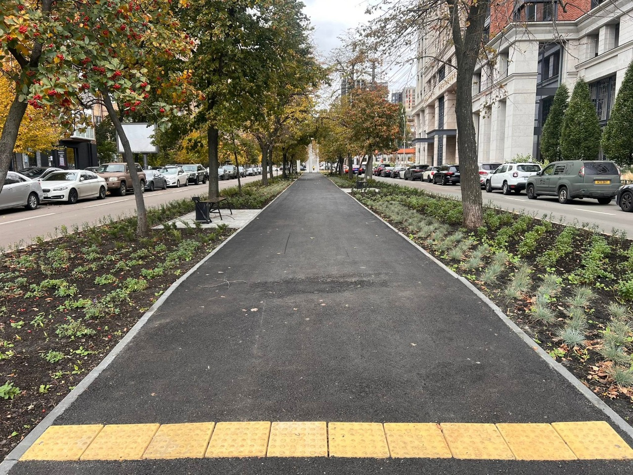 Новий мінісквер з пряних трав у Голосіївському районі Києва: як він виглядає