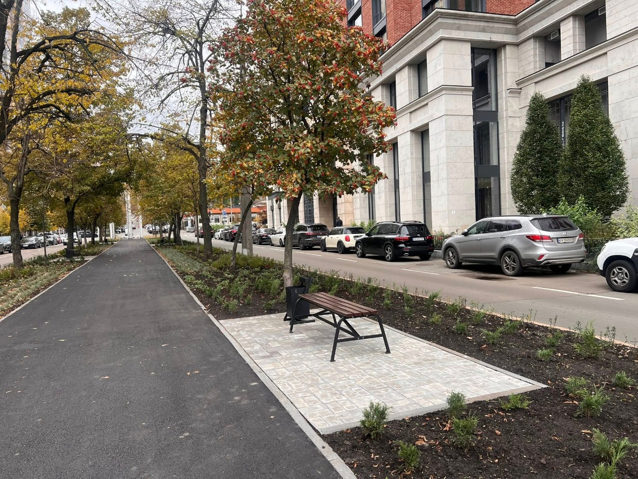 Новий мінісквер з пряних трав у Голосіївському районі Києва: як він виглядає