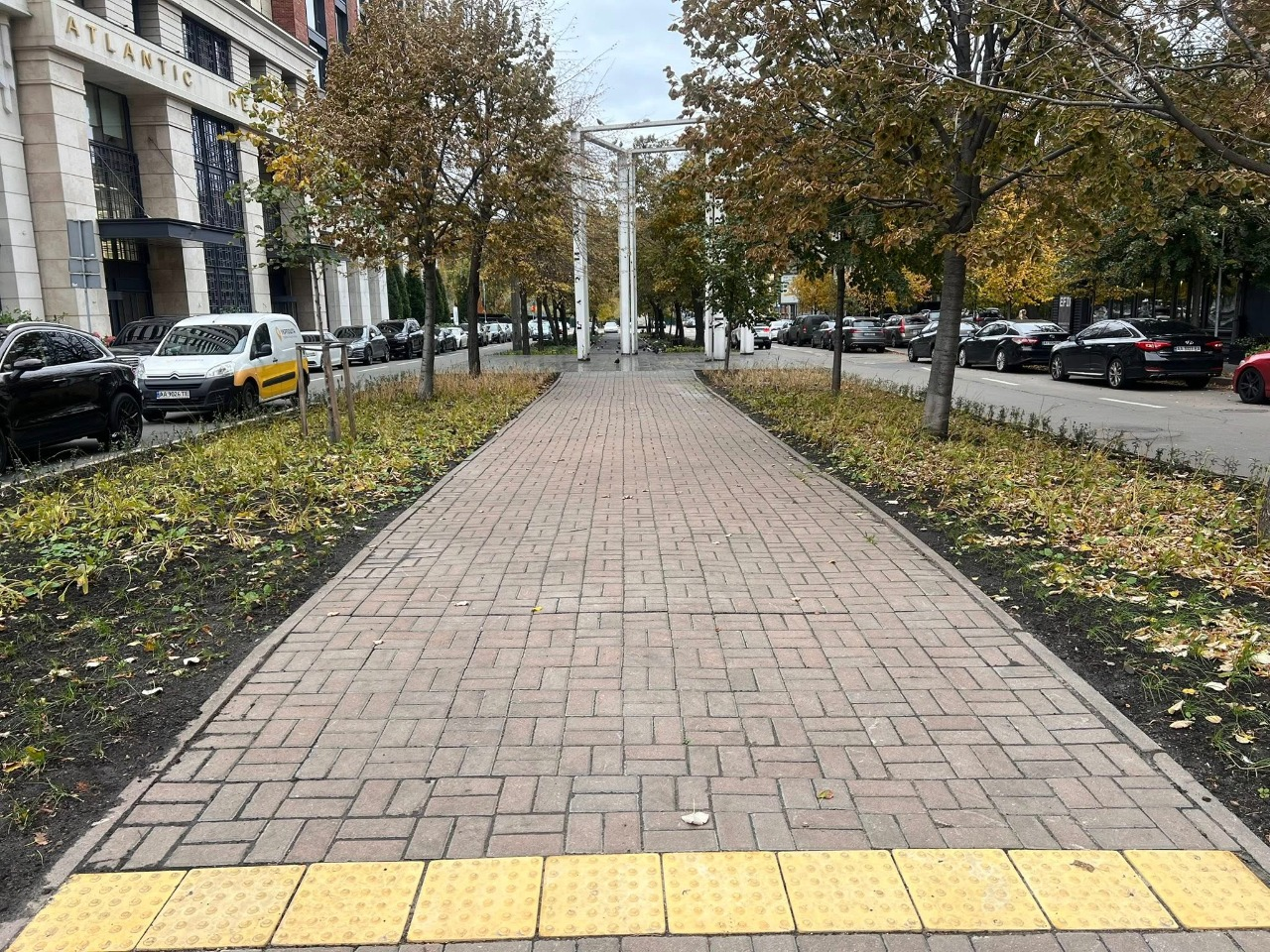 Новий мінісквер з пряних трав у Голосіївському районі Києва: як він виглядає