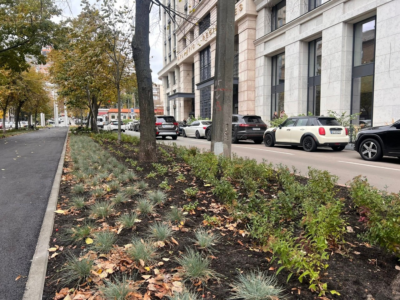 Новий мінісквер з пряних трав у Голосіївському районі Києва: як він виглядає