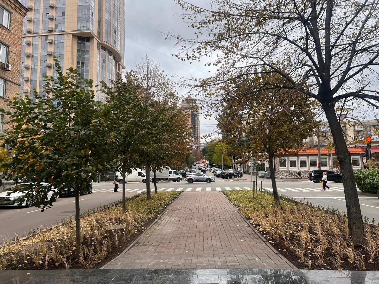 Новий мінісквер з пряних трав у Голосіївському районі Києва: як він виглядає