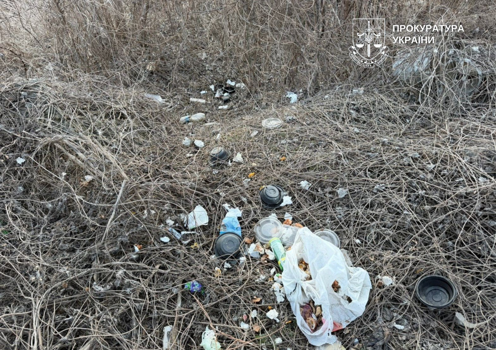 У Голосіївському районі приберуть стихійне звалище: рішення суду