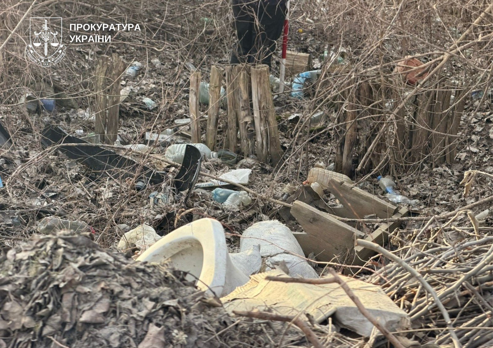 У Голосіївському районі приберуть стихійне звалище: рішення суду