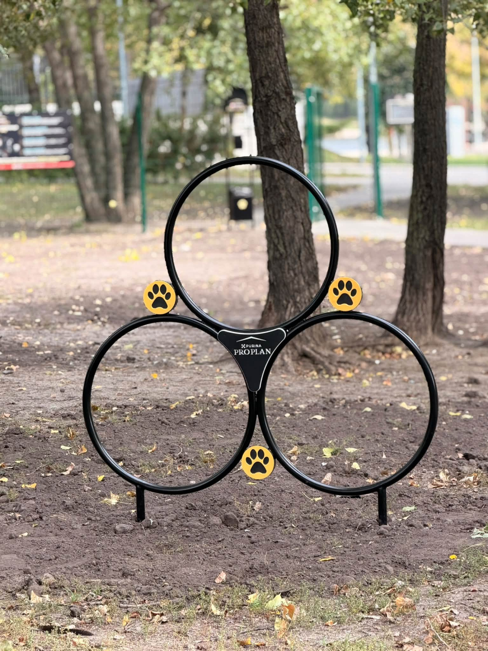 У Дніпровському районі Києва оновили майданчик для вигулу собак: фото
