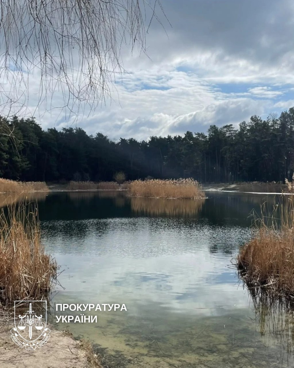 Влада Києва роками не може встановити межі природного заказника: фото