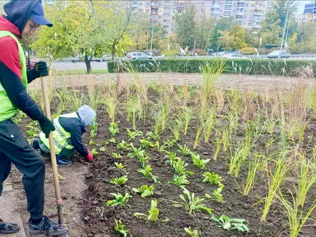 Злаки та багаторічники: нова композиція з’явилася в Деснянському районі