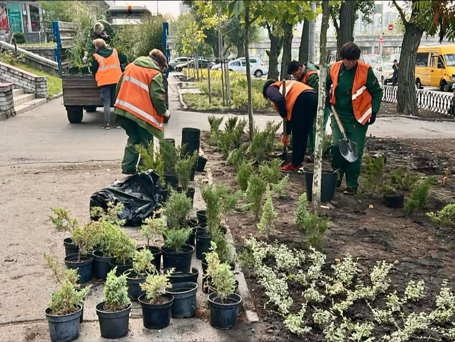Зелена зона замість МАФів: як змінилася локація на Великій Васильківській