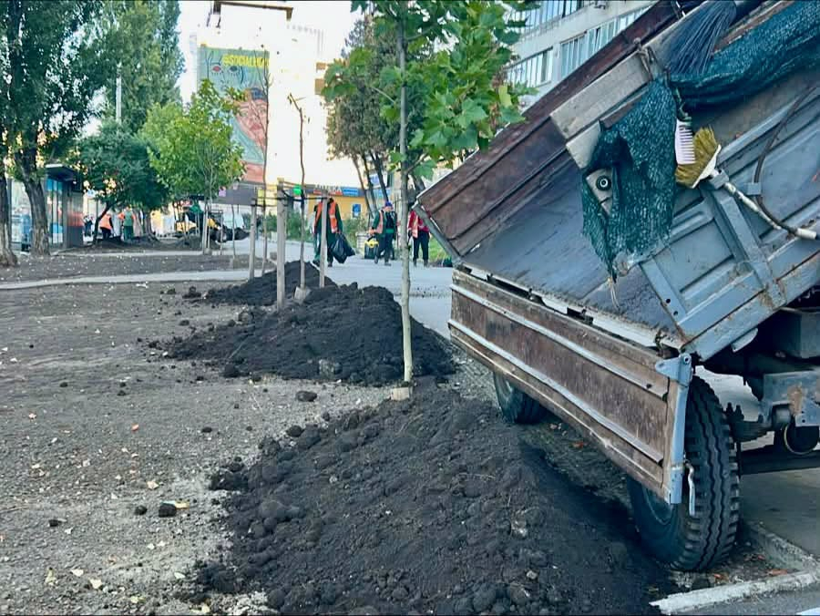 Зелена зона замість МАФів: як змінилася локація на Великій Васильківській