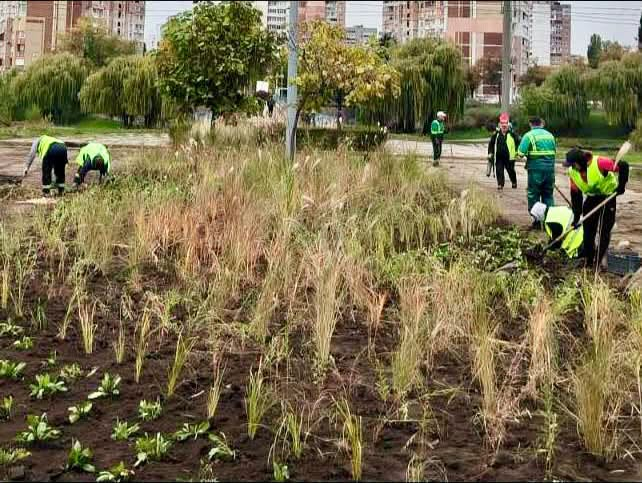 Злаки та багаторічники: нова композиція з’явилася в Деснянському районі