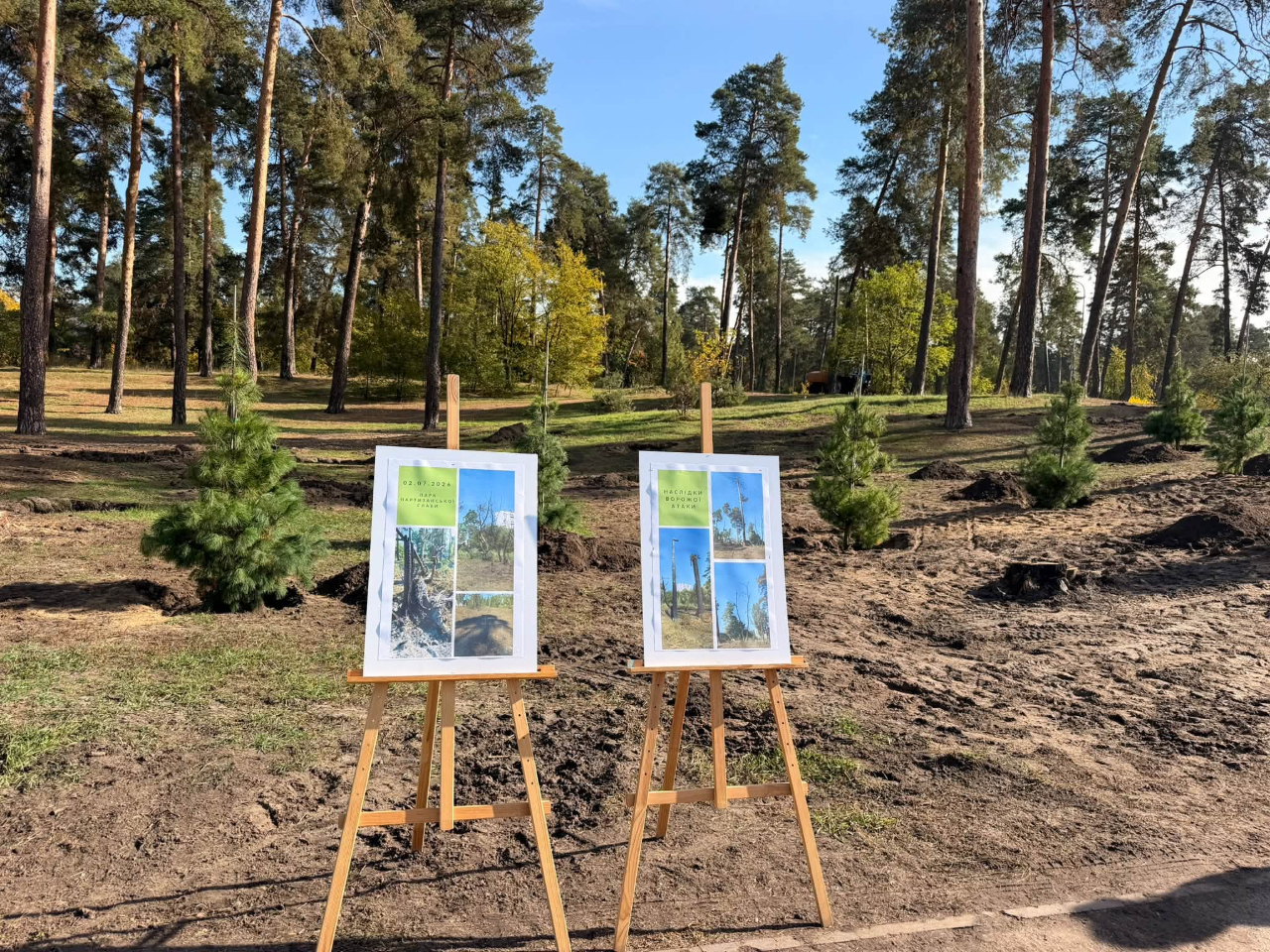 Відновлення після обстрілу: у парку "Партизанська слава" в Києві висадили сосни