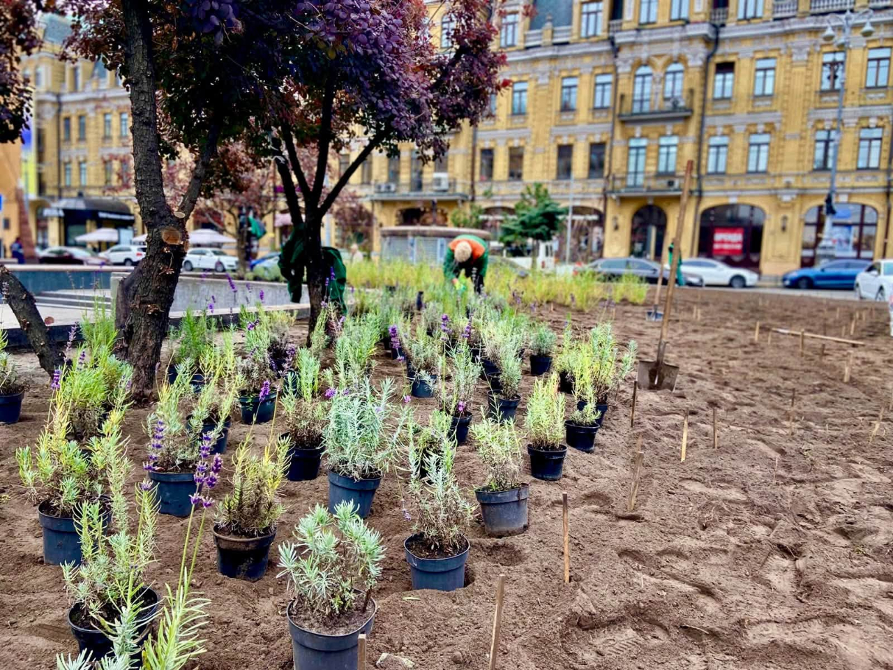 На Бессарабській площі облаштували сучасну зелену зону: як вона виглядає