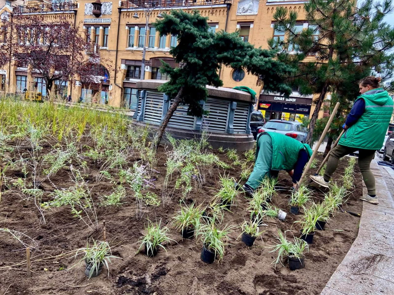 На Бессарабській площі облаштували сучасну зелену зону: як вона виглядає