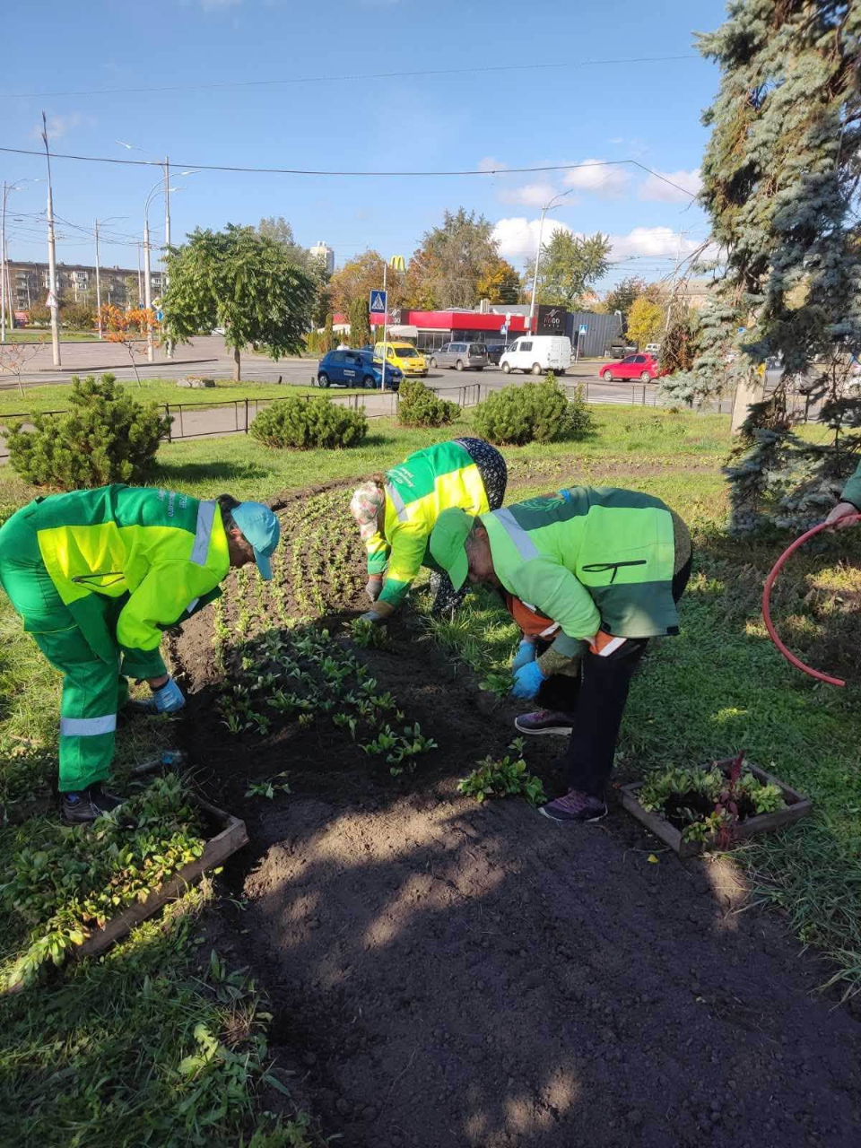 Три локації у Дніпровському районі доповнили багаторічними квітами: фото