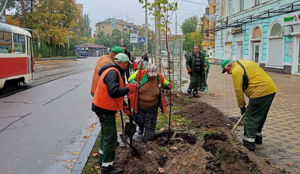Пів сотні нових дерев висадили у двох районах столиці: фото