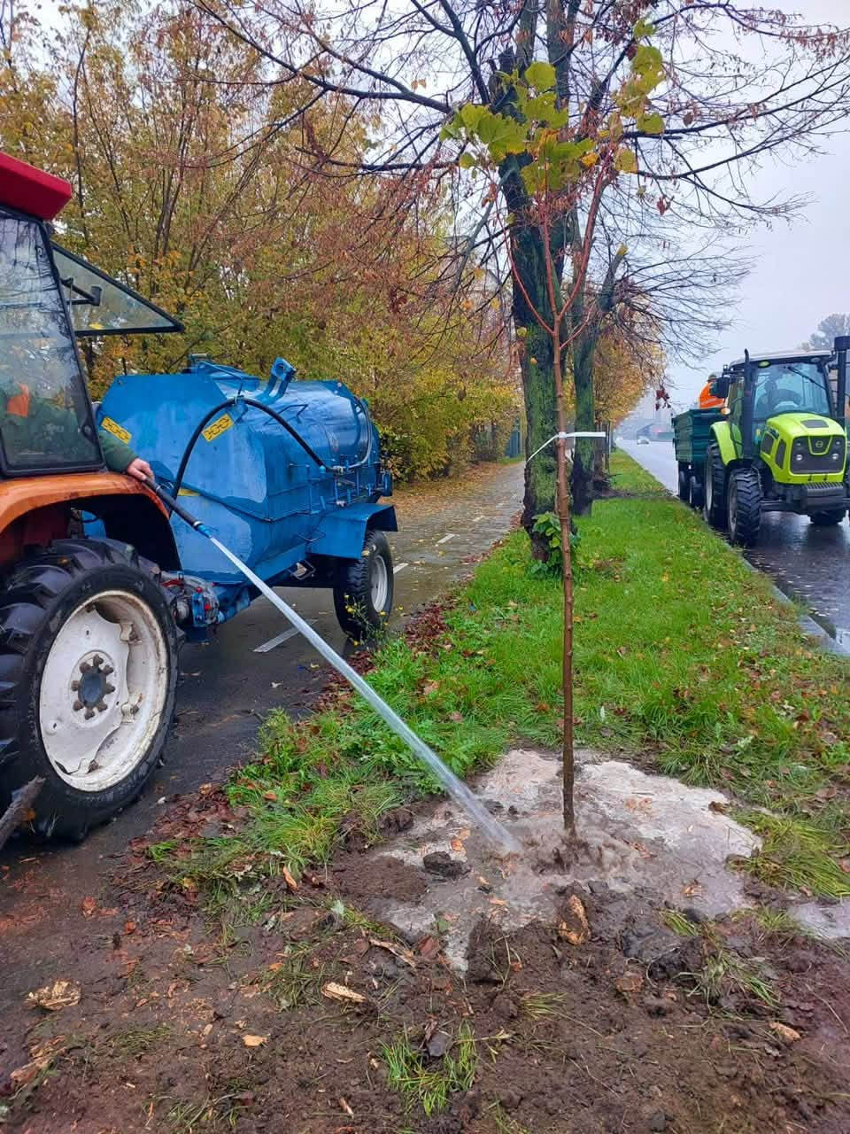 Пів сотні нових дерев висадили у двох районах Києва: фото та подробиці