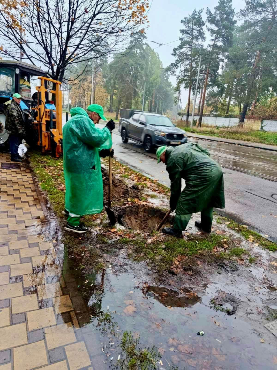 Пів сотні нових дерев висадили у двох районах Києва: фото та подробиці