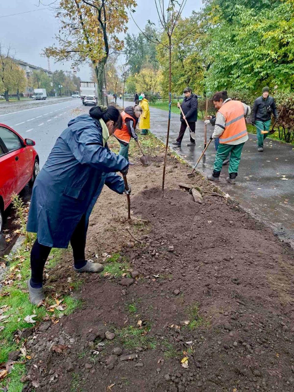 Пів сотні нових дерев висадили у двох районах Києва: фото та подробиці