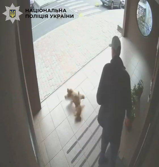 Киянин бив цуценя і тягав за нашийник: розпочато кримінальне провадження