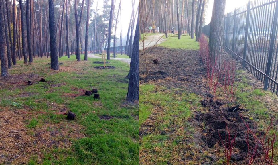 В киевском парке вандалы повредили лавочку и кустарник (фото) 