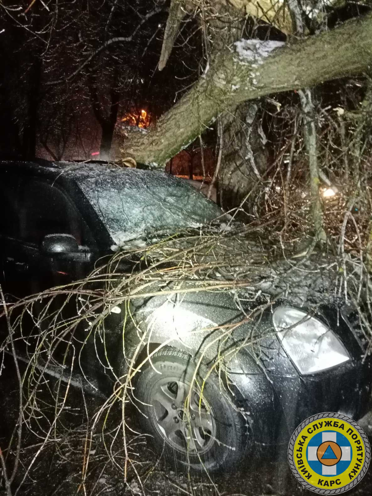 Через негоду у Києві зламано 120 дерев