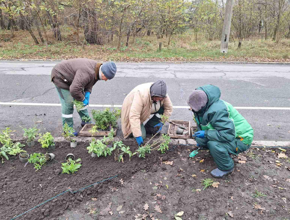 У парках Дніпровського району висадили дерева та кущі: фото