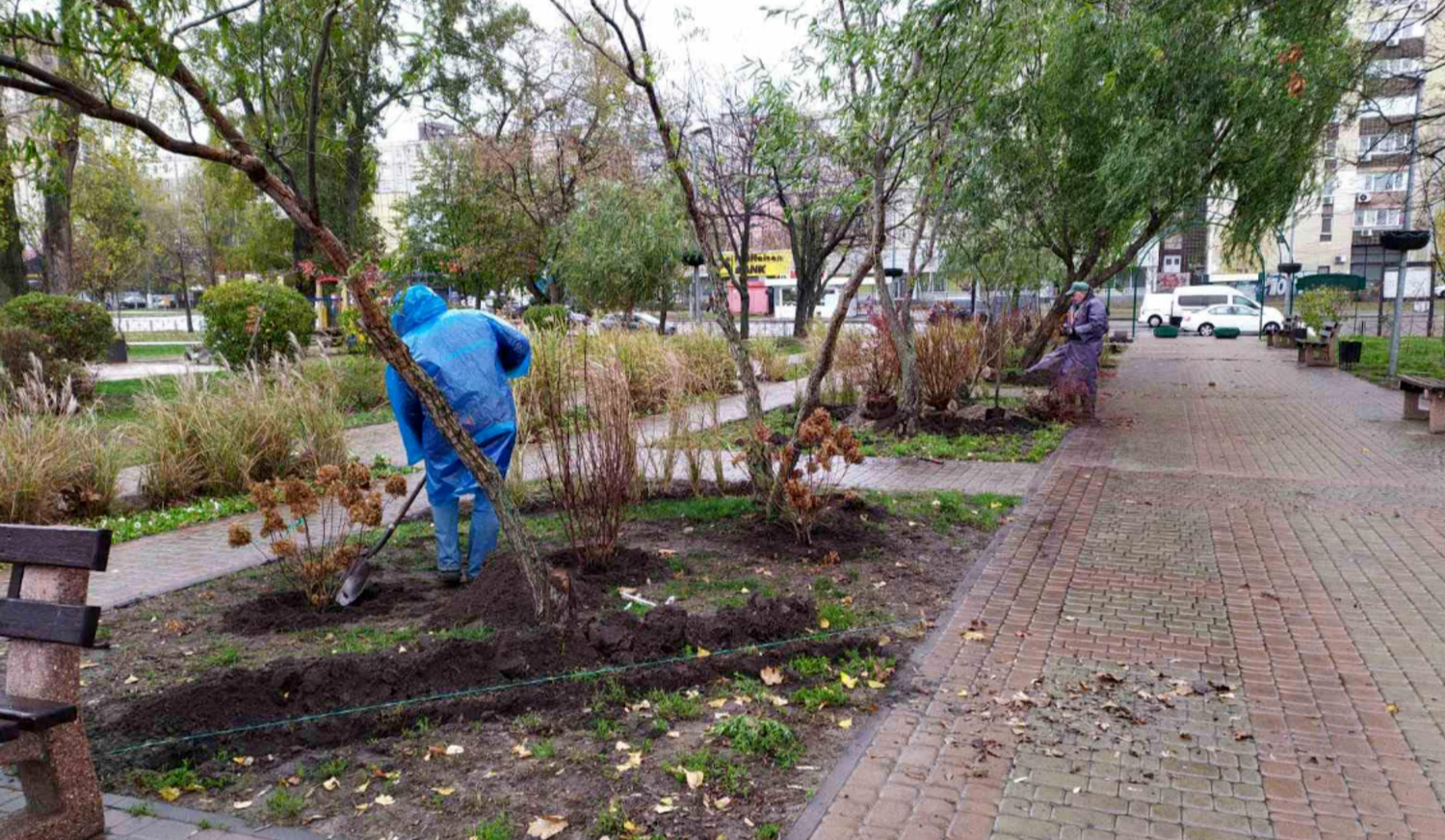 В парках Києва провели осіннє озеленення: висадили дерева та кущі