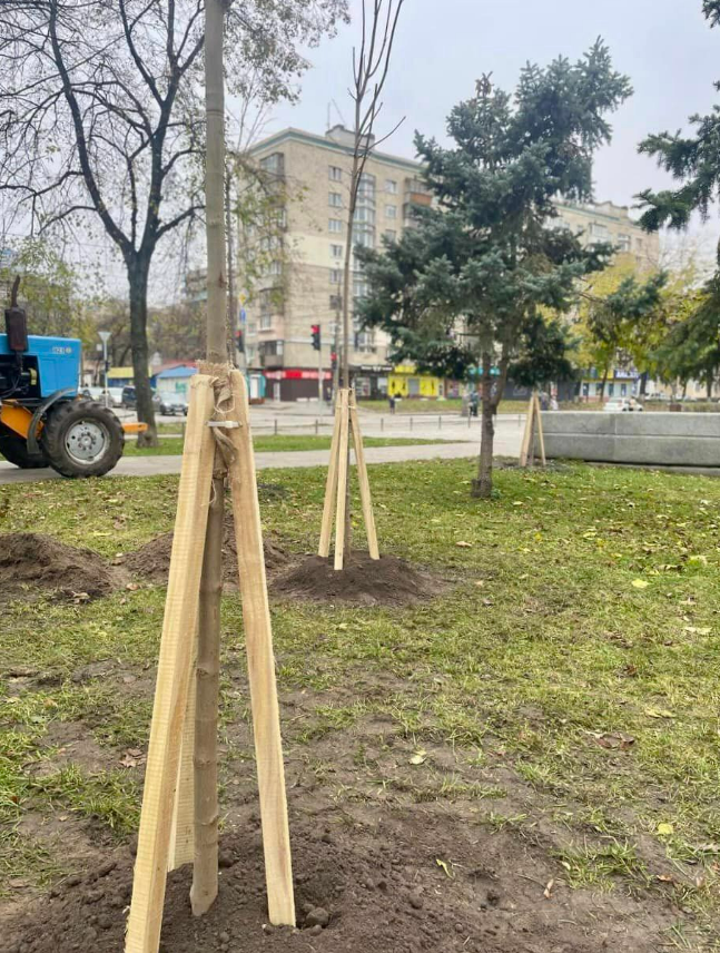 У Куренівському парку та сквері на Солом'янці висадили дерева та кущі: фото