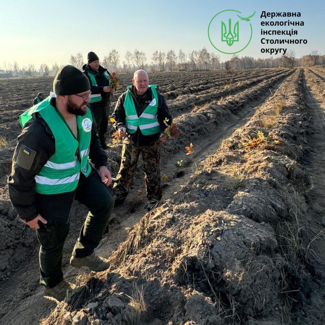 В Чорнобильській зоні відчуження на Київщині висаджують нові ліси: фото та подробиці