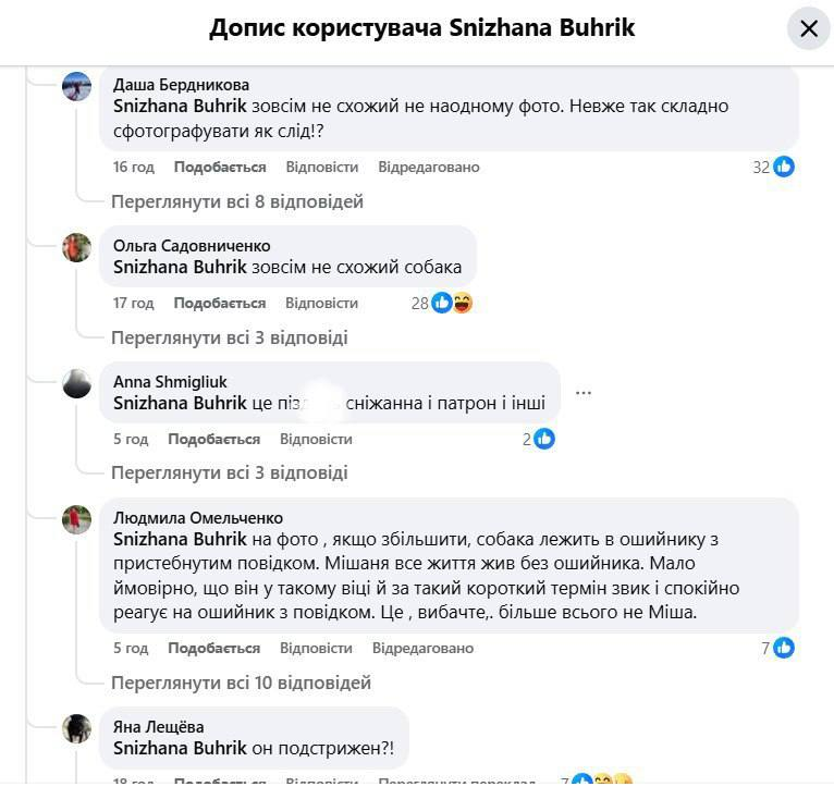 Собаку Мішу зі столичних Теремків забрали до нової родини: що відомо