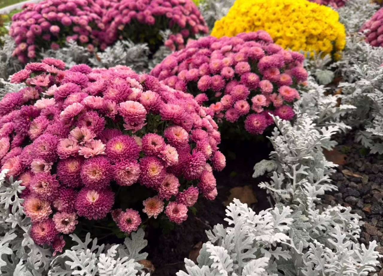 У сквері на Подільському узвозі в Києві облаштували осінню фотозону з українськими мотивами