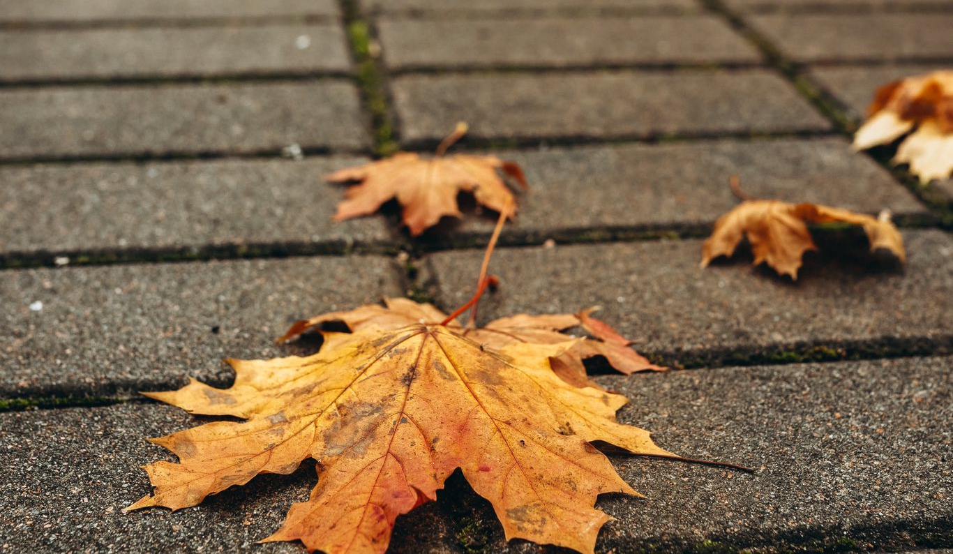 Вихідні та святкові дні у листопаді: скільки відпочиватимуть українці
