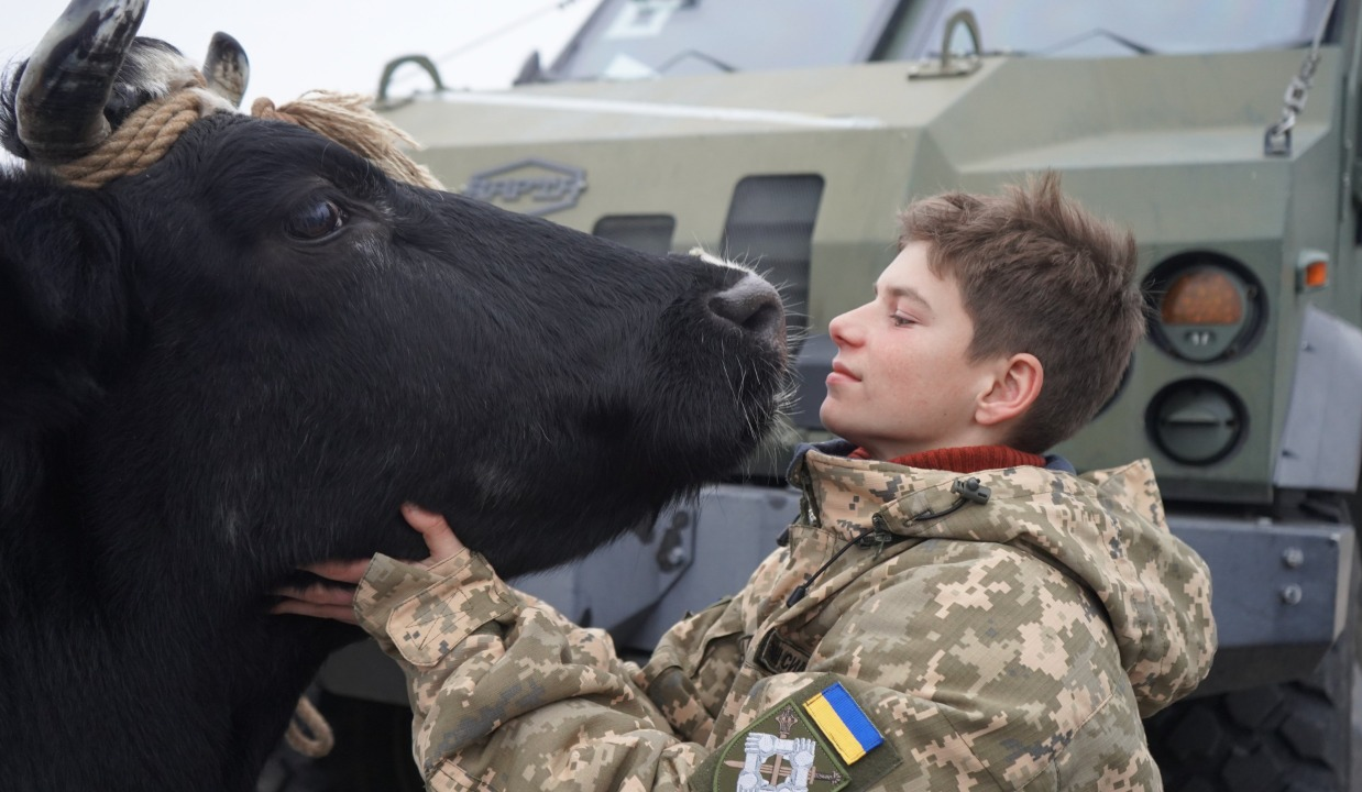 Це 10 фільмів, які виходять у листопаді