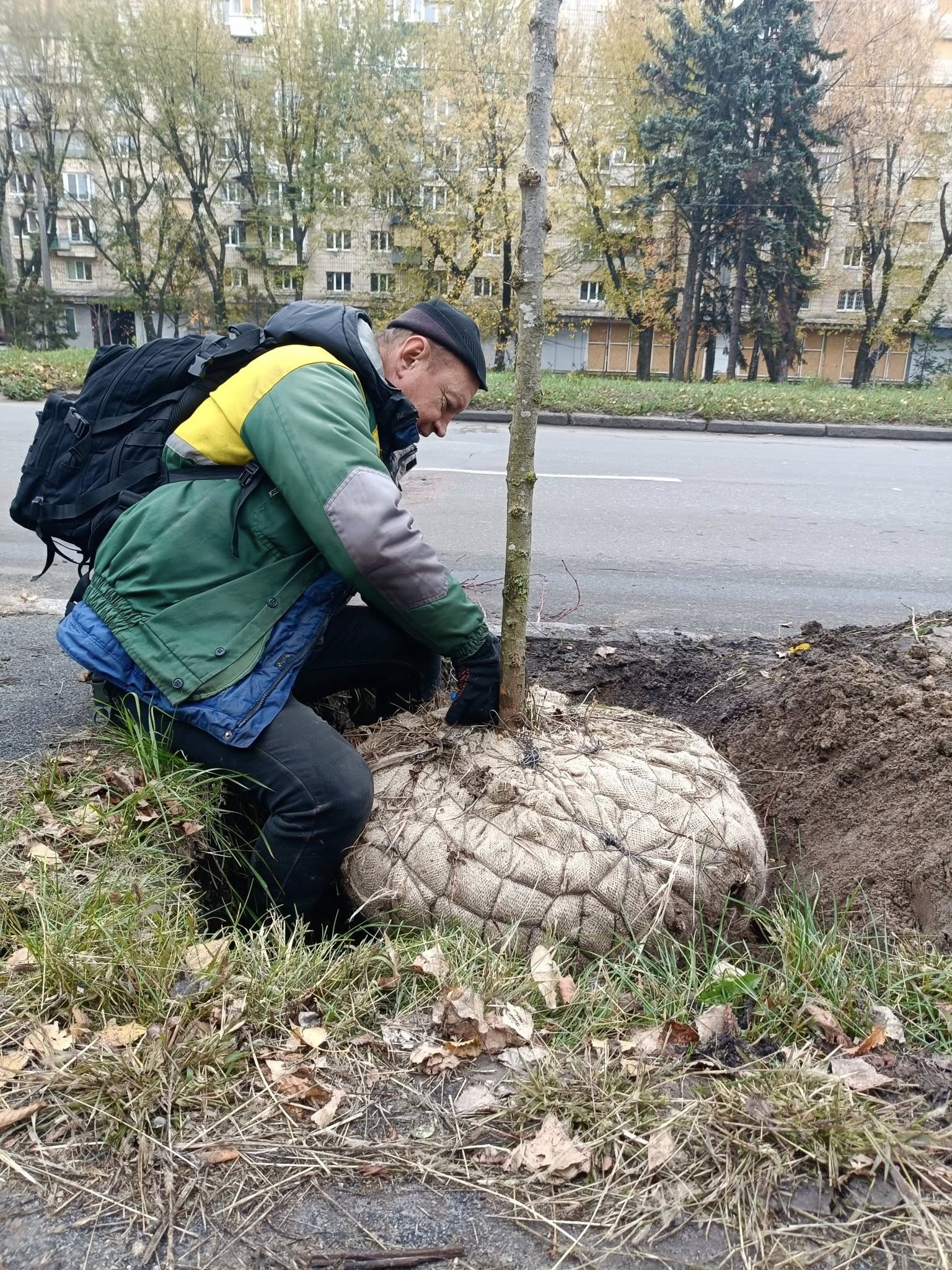 На бульварі Вацлава Гавела у Солом’янському районі Києва висадили липи: фото