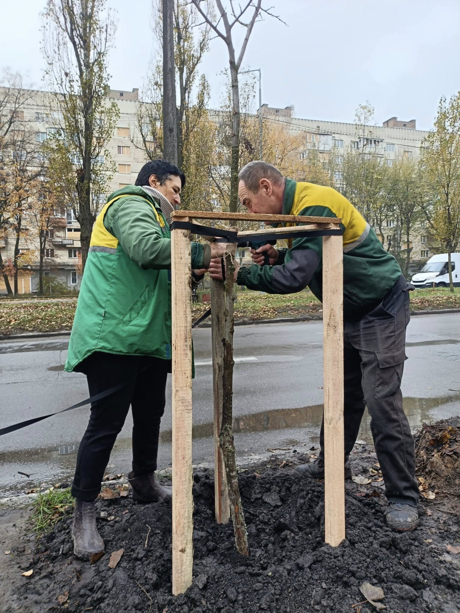 На бульварі Вацлава Гавела у Солом’янському районі Києва висадили липи: фото