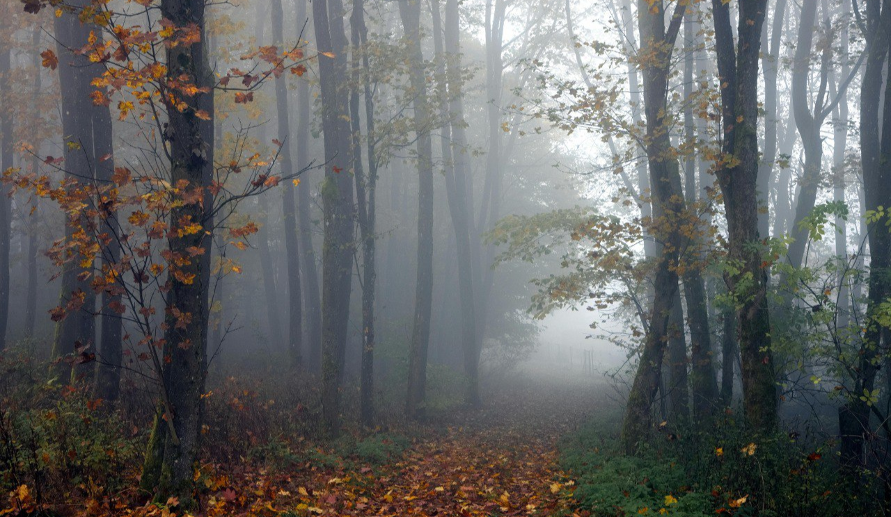 Хмарно, до +11, невеликий дощ: якою буде погода у Києві на вихідних