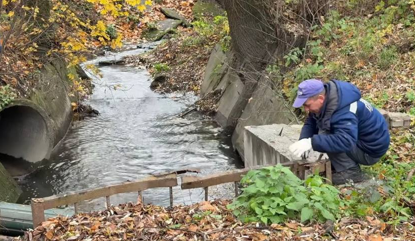 Сирецький струмок очистили від опалого листя: відео