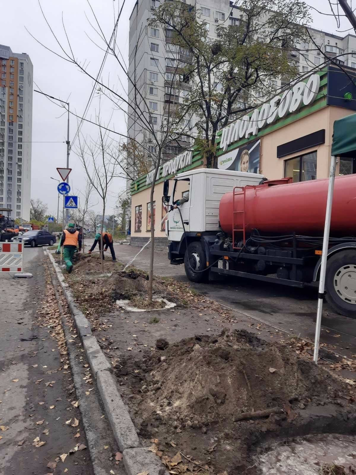Осіння висадка дерев: нові яблуні та клени з’явилися в Дніпровському районі Києва
