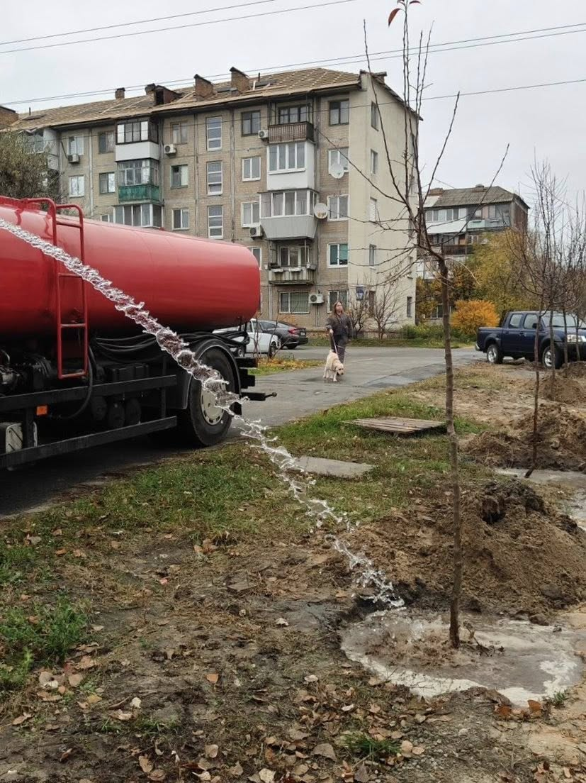 Осіння висадка дерев: нові яблуні та клени з’явилися в Дніпровському районі Києва