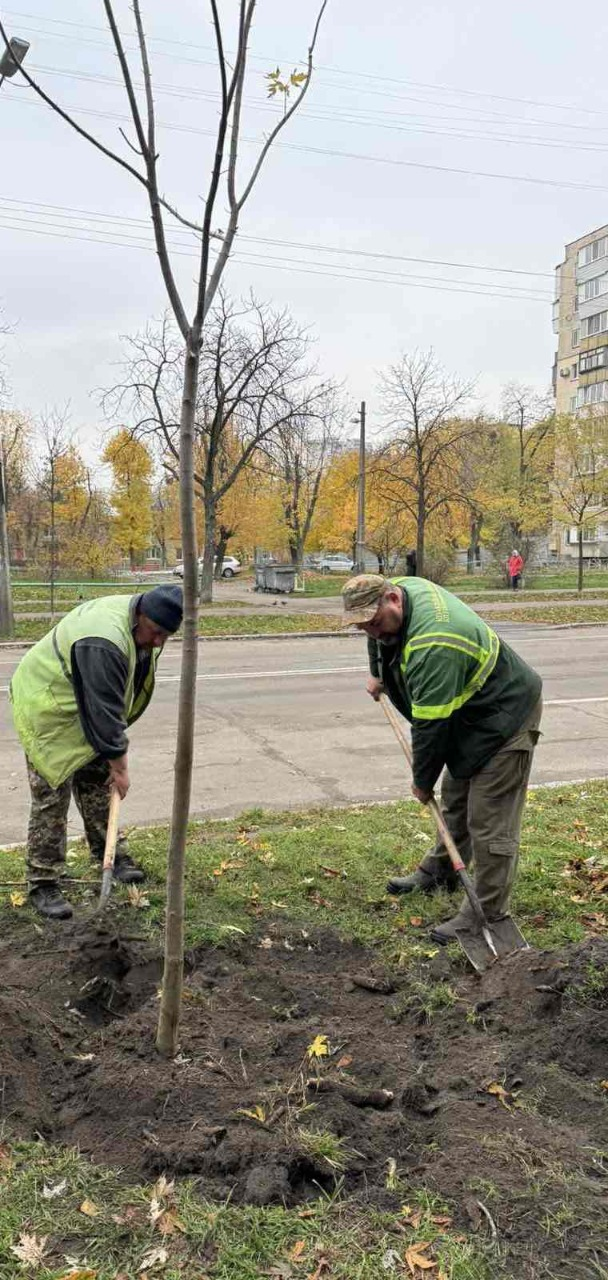 Озеленення у Деснянському районі Києва: на двох локаціях висадили нові дерева