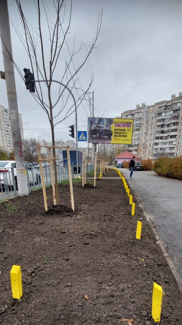 Озеленення у Деснянському районі Києва: на двох локаціях висадили нові дерева