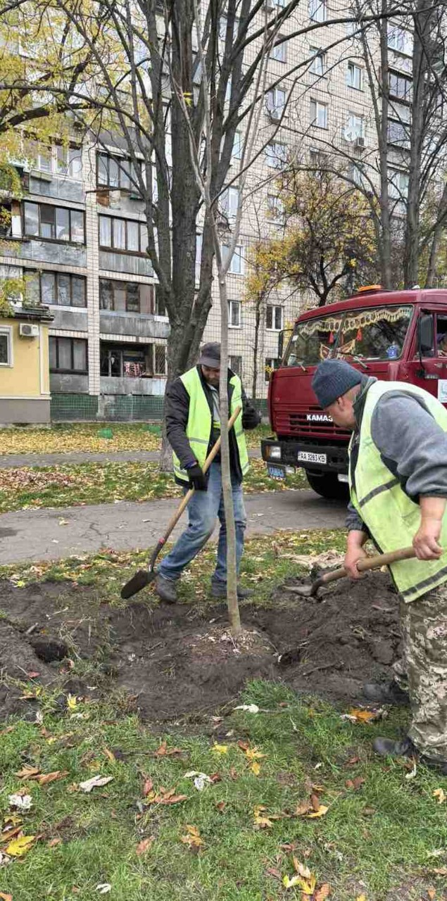 Озеленення у Деснянському районі Києва: на двох локаціях висадили нові дерева