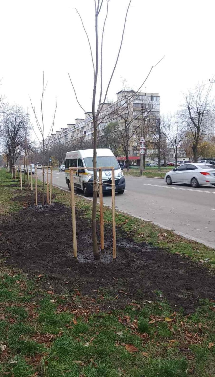 Озеленення у Деснянському районі Києва: на двох локаціях висадили нові дерева