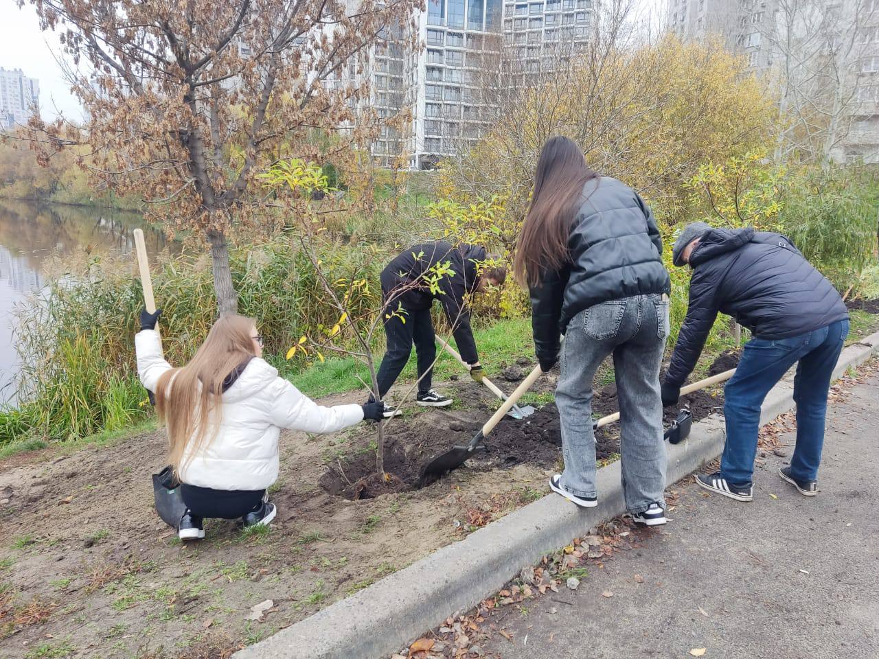 У парку "Позняки" висадили молоді верби