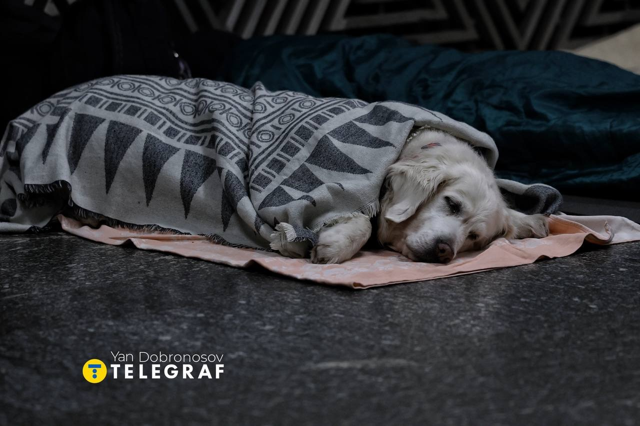 Скільки людей ховалися на станціях київського метро під час атаки 14 листопада 2025 року