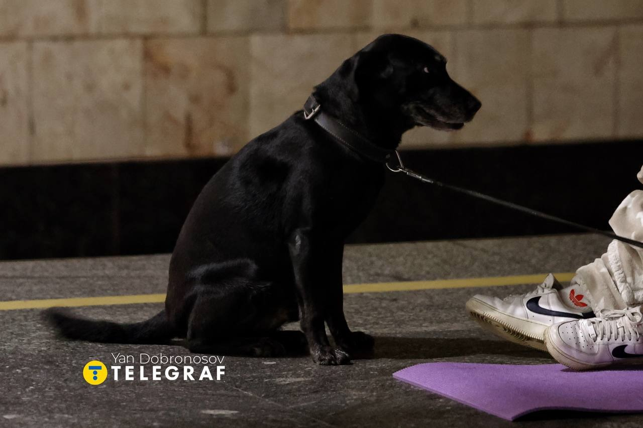 Скільки людей ховалися на станціях київського метро під час атаки 14 листопада 2025 року