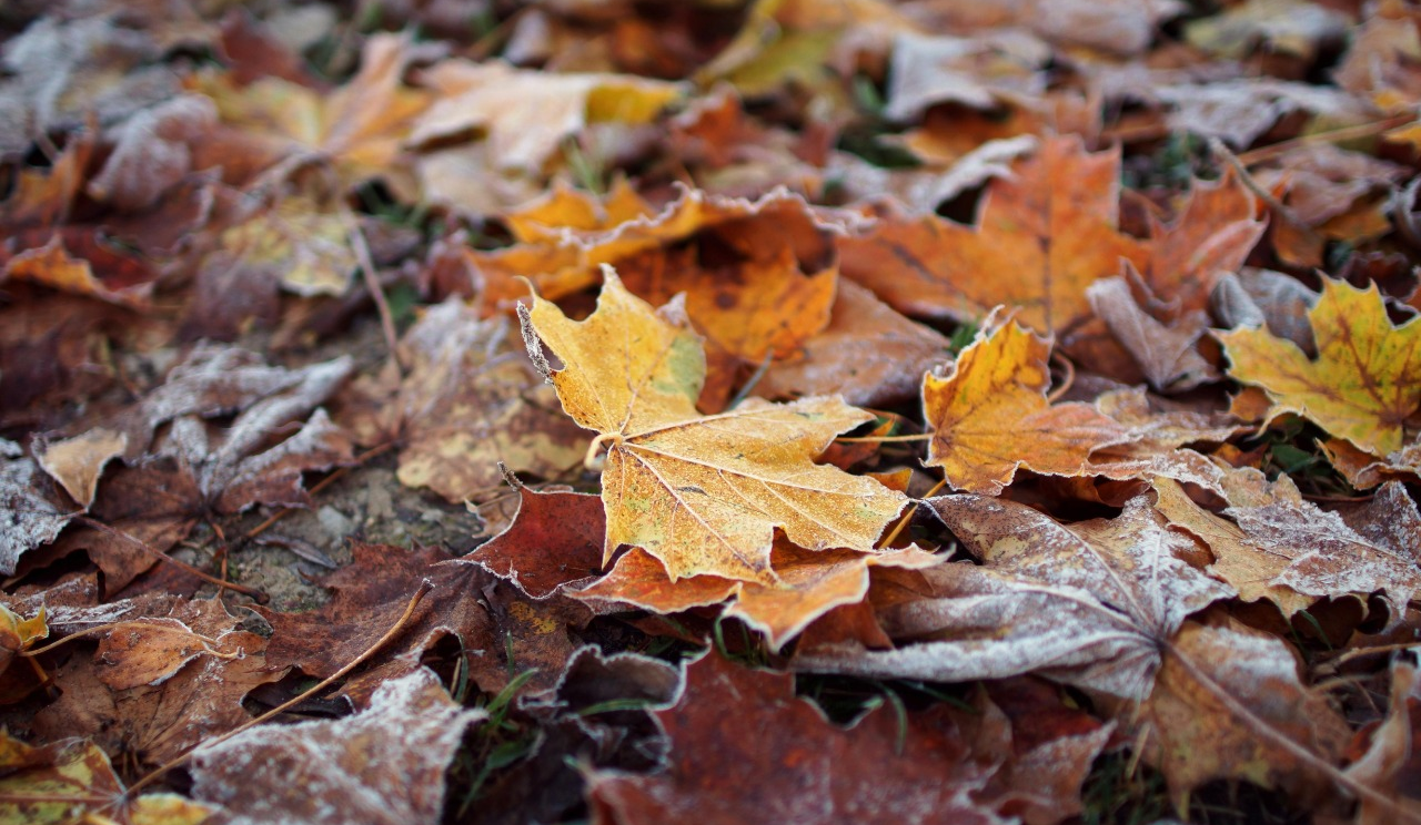 Прогнозують дощі та похолодання: якою буде погода у Києві на вихідних